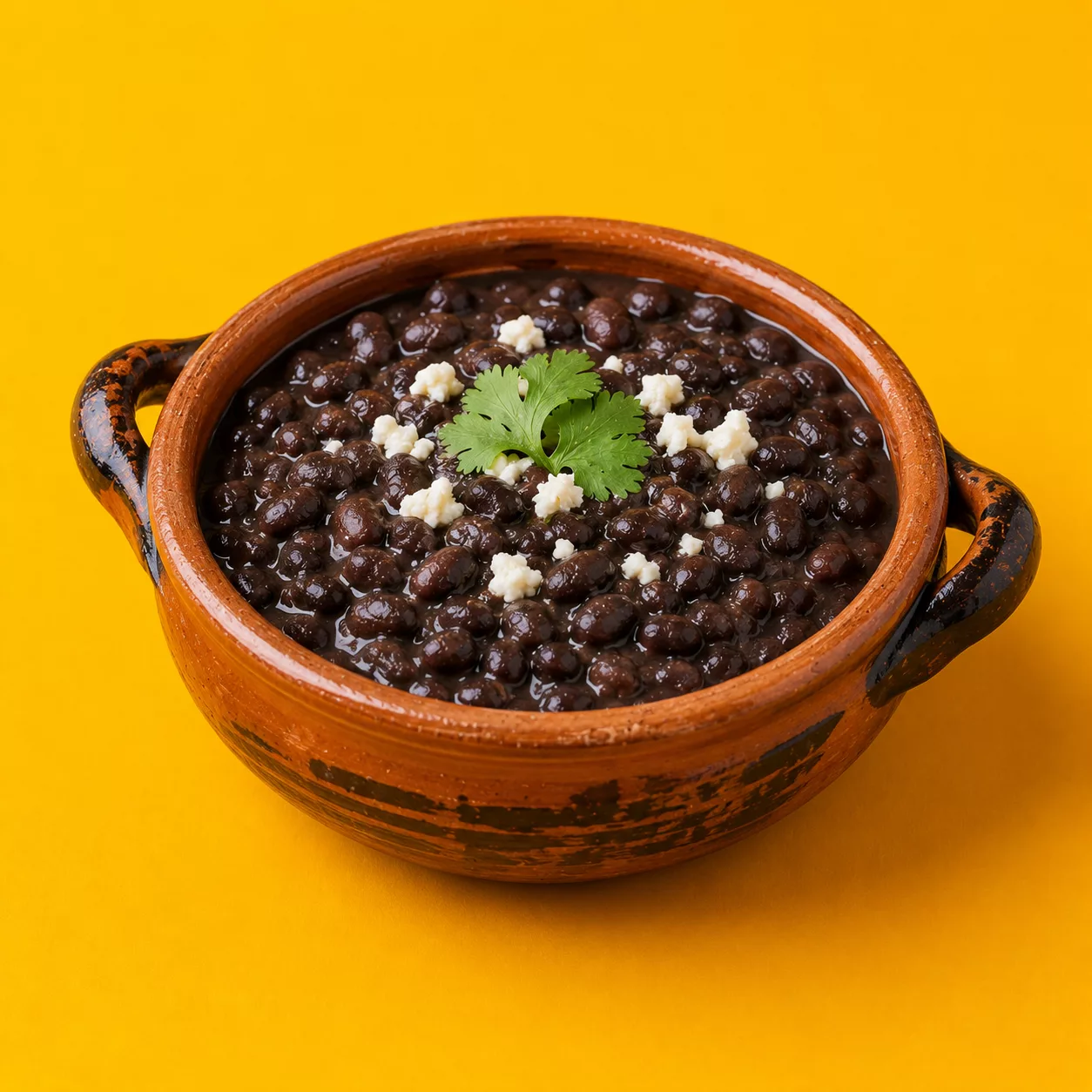 ¿Mi perro puede comer Frijoles?